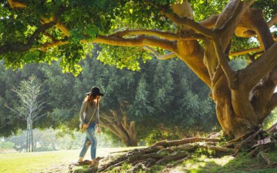 I 4 elementi naturali – la Terra.